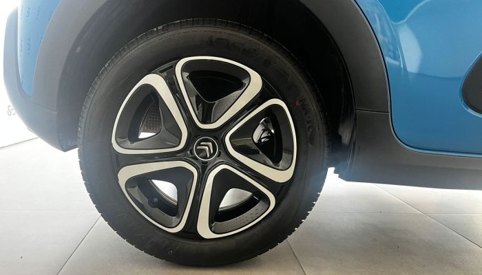C313