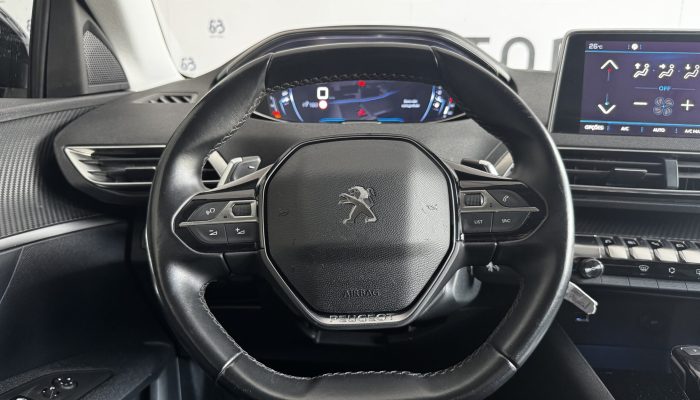 Peugeot 3008 (18)